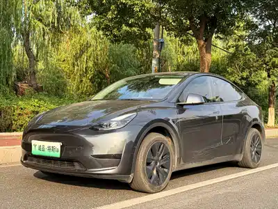 Tesla Model Y 2024