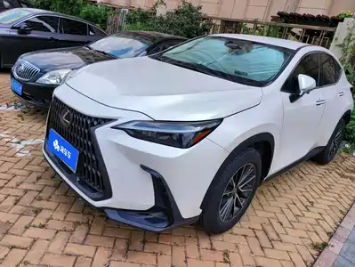 Lexus NX 2022
