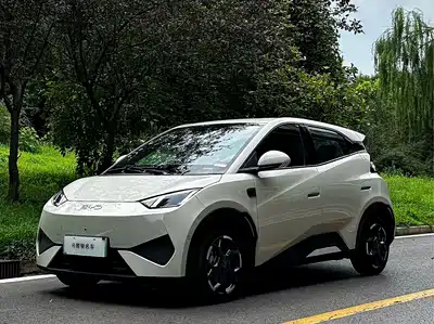 BYD Seagull 2025