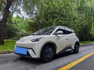 BYD Seagull 2024