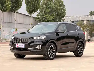 WEY VV6 2020