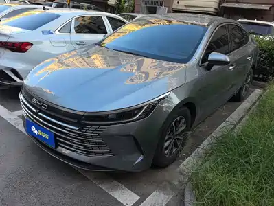 BYD Destroyer 05 2024