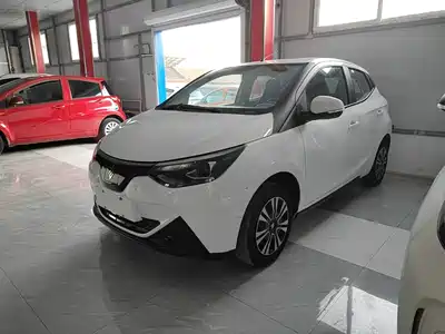 JMCG New Energy Little Kirin 2025