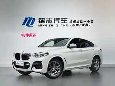 BMW X4 2019
