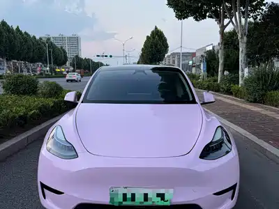 Tesla Model Y 2024