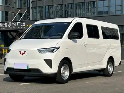 Wuling Motors Yangguang 2024