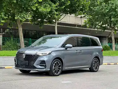 Roewe iMAX8 2021