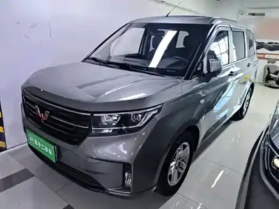 Wuling Motors Hongguang PLUS 2019