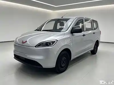 Wuling Motors Hongguang New Energy 2025