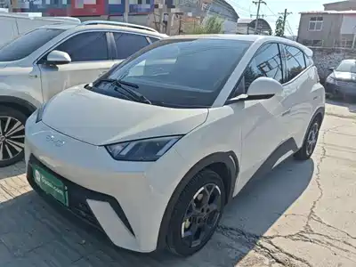 BYD Seagull 2024
