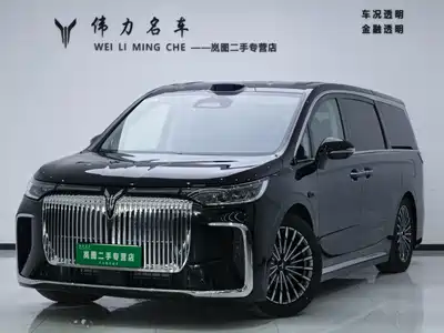 Voyah Auto Dreamer 2025