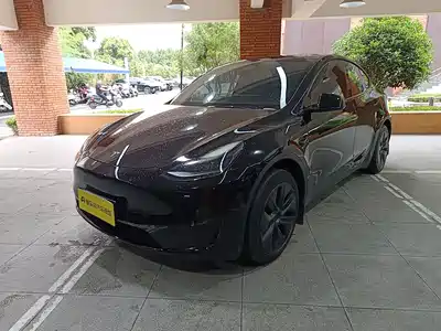 Tesla Model Y 2024