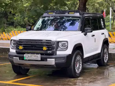 Haval Meng Long NEV 2023