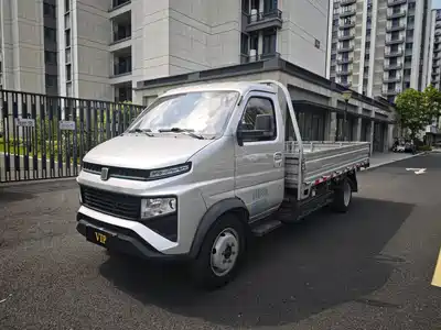 Yuan Cheng Farizon Star Enjoy F1E 2024