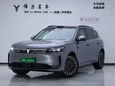 Voyah Auto FREE 2025