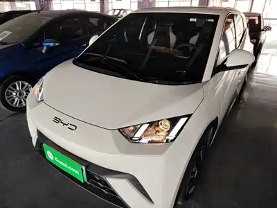 BYD Seagull 2023