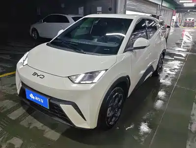 BYD Seagull 2024