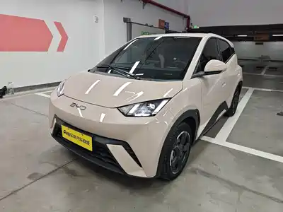 BYD Seagull 2024
