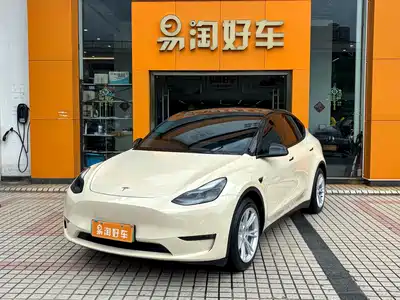 Tesla Model Y 2021