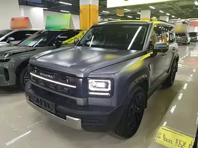 Haval Meng Long NEV 2025
