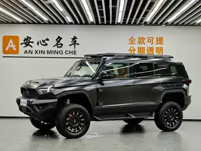 Mengshi 917 2025