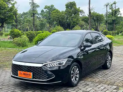 BYD Qin PLUS 2024