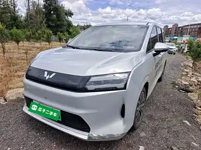 Wuling Motors Xingguang 730 New Energy 2025