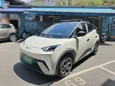 BYD Seagull 2024