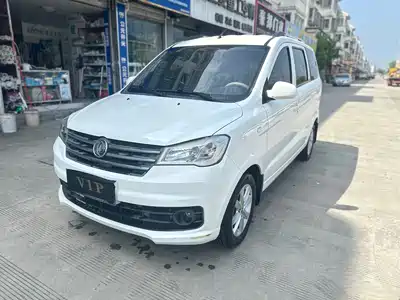 Dongfeng Fengguang 330 2021