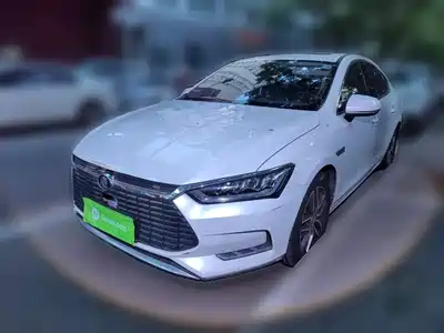 BYD Qin Pro New Energy 2019