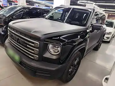 Haval Meng Long NEV 2024