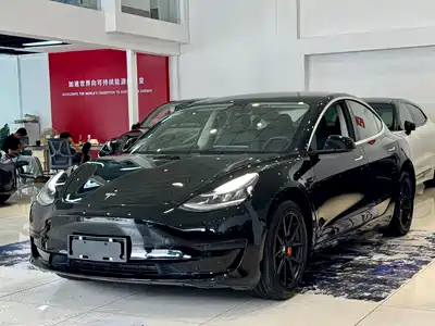 Tesla Model 3 2020