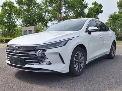 BYD Destroyer 05 2024