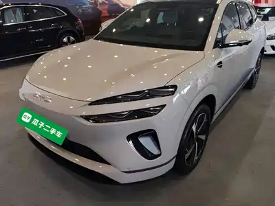 BYD Sealion 06 New Energy 2025