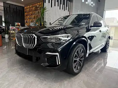 BMW X5 2022