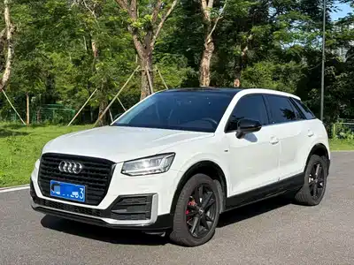 Audi Q2L 2020