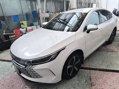 BYD Destroyer 05 2024