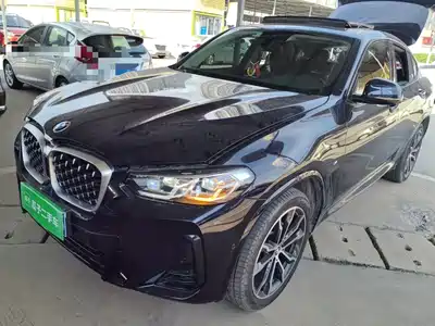 BMW X4 2024