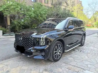 GAC Trumpchi GS8 2024