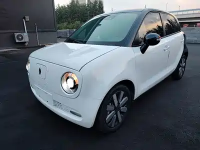 Ora Black Cat 2020