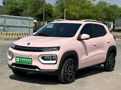 Dongfeng Yipai Nano BOX 2024
