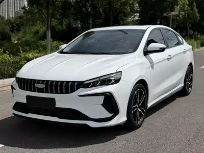 Geely Binrui 2024