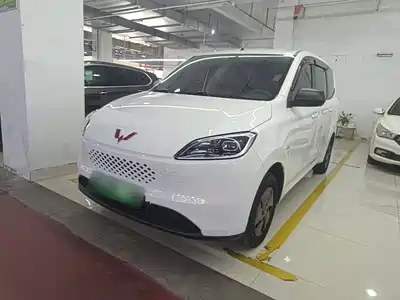 Wuling Motors Hongguang New Energy 2025