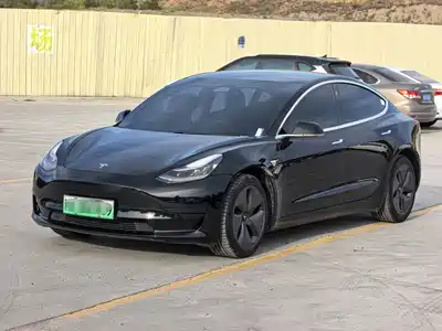 Tesla Model 3 2020