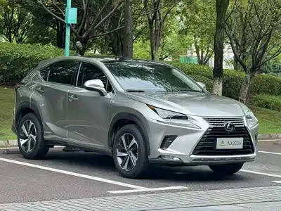 Lexus NX 2020