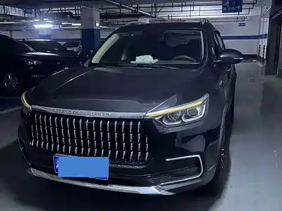 Leopaard Mattu 2019