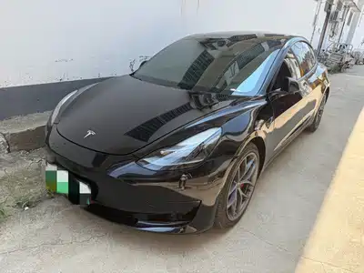 Tesla Model 3 2021