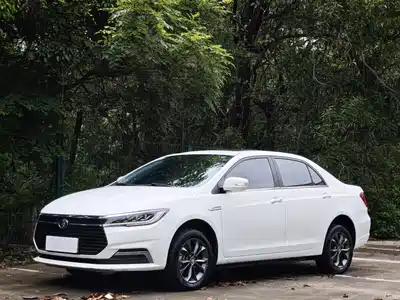BYD Qin New Energy 2021