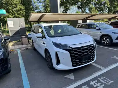 BYD Xia 2025