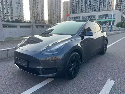 Tesla Model Y 2025